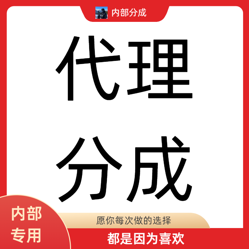 【代理分成】仅供内部合作代理使用-拍下不退-请勿乱拍